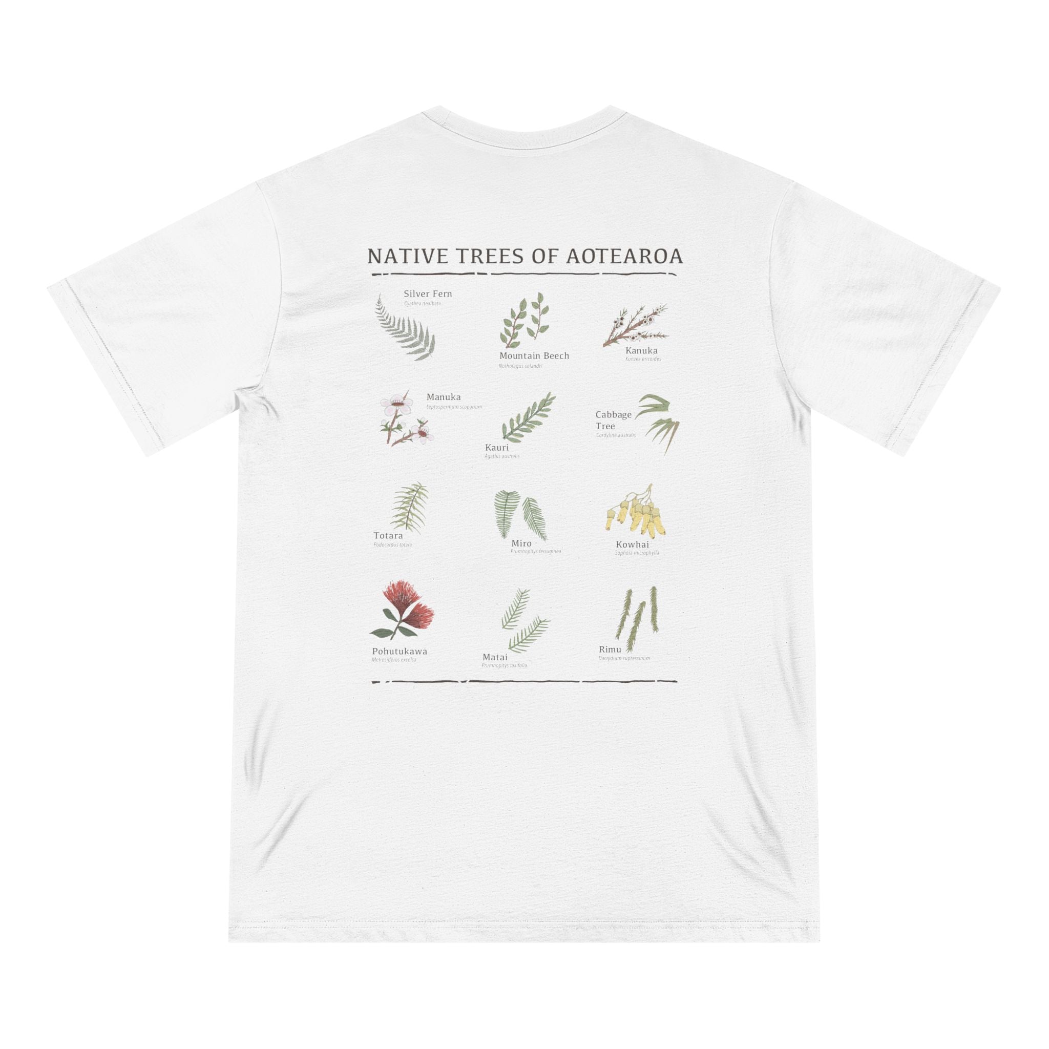Native trees of Aotearoa - Organic Staple T-shirt